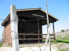 Weil am Rhein Weiler Weinweg 010.jpg